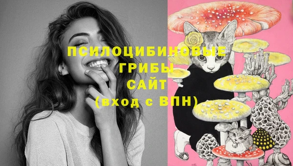 бошки Осинники