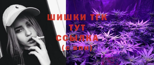 молекула духа Нязепетровск