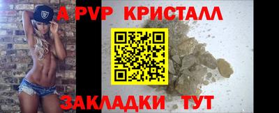 спиды Гатчина