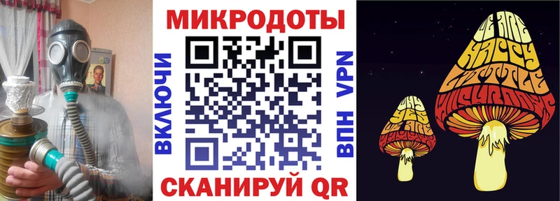 где найти   Ишим  Галлюциногенные грибы прущие грибы 