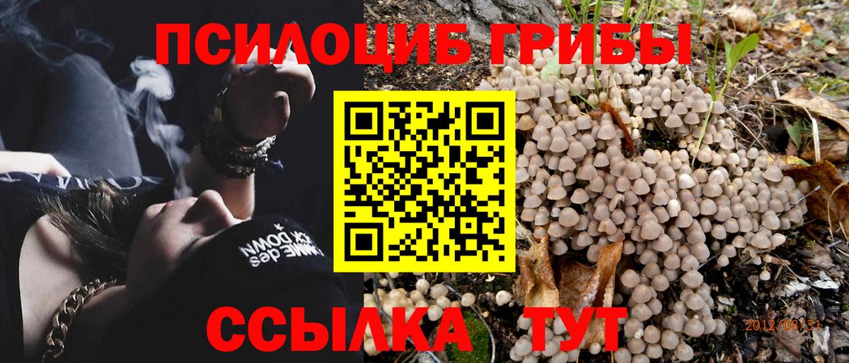 Галлюциногенные грибы Cubensis  Вход с VPN  Ишим 