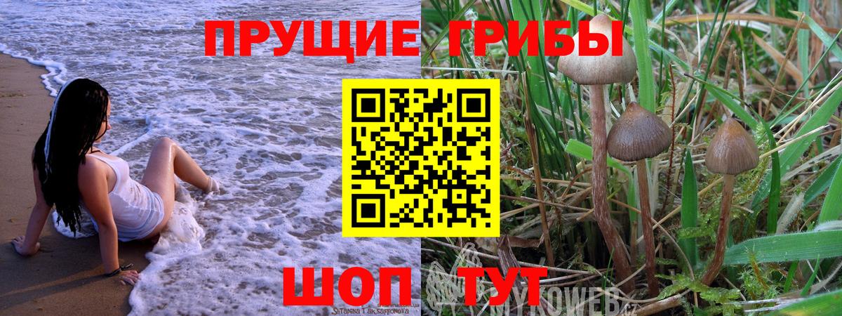 Галлюциногенные грибы GOLDEN TEACHER  Галлюциногенные грибы GOLDEN TEACHER  Ишим 