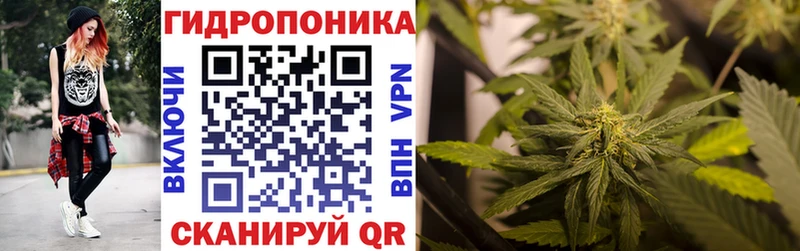 Марихуана планчик  дарк нет Telegram  Ишим  купить закладку 